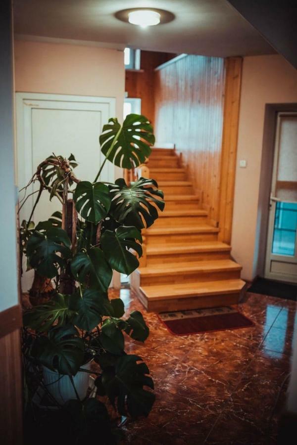 Дідів Рай Hotel Volovets Eksteriør billede